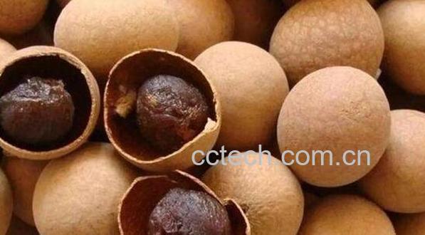 干桂圆的功效和作用 干桂圆怎么吃-0