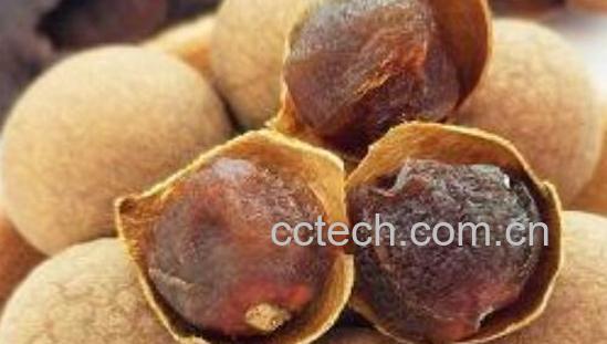 干桂圆的功效和作用 干桂圆怎么吃-1