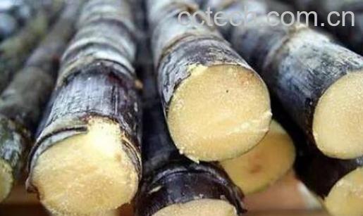 甘蔗怎么吃 甘蔗的食用方法-0