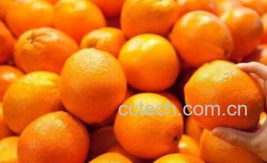 橘子和桔子的区别 吃橘子的好处-0