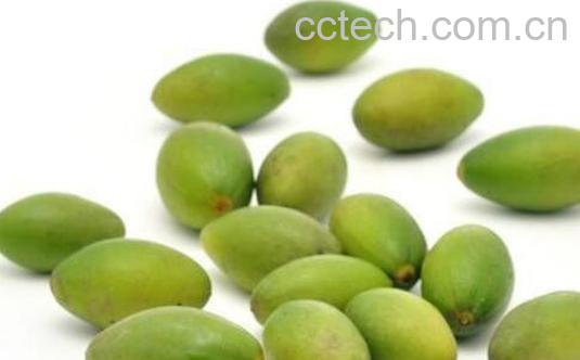 橄榄果的功效与作用-1