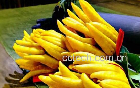 佛手柑怎么吃 佛手柑的常见吃法-0