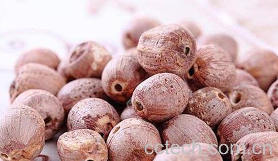 中药红莲子的功效与作用-1