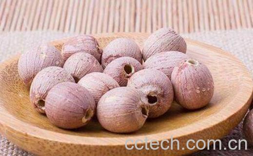 通心红莲的功效与作用-1