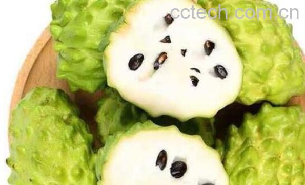 番荔枝和释迦的区别-0