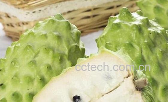 番荔枝和释迦的区别-1