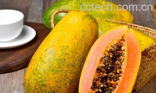 番木瓜和木瓜的区别-0