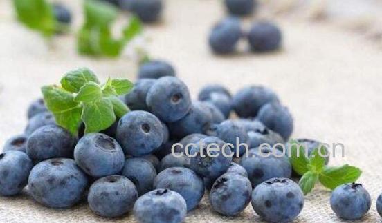 什么水果对心脏好 对心脏有益的食物有哪些-0