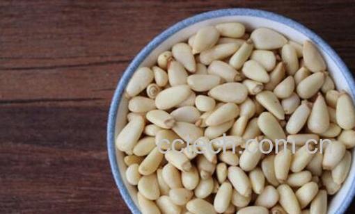 红松果仁的功效与作用-0