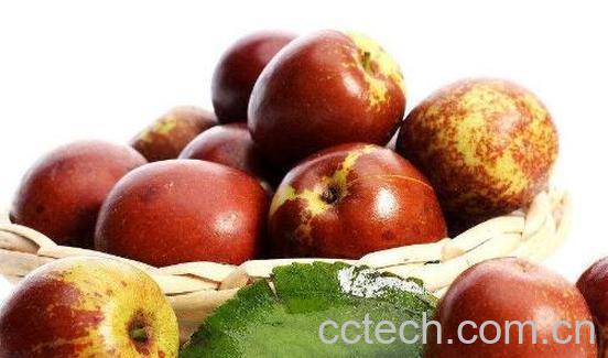 冬枣的功效与作用 吃冬枣的好处-0