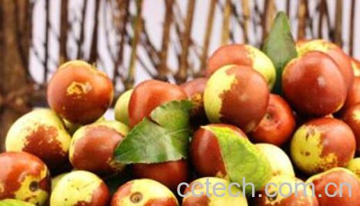 冬枣的功效与作用 吃冬枣的好处-1