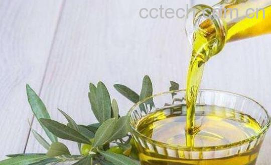 如何自己榨橄榄油-1