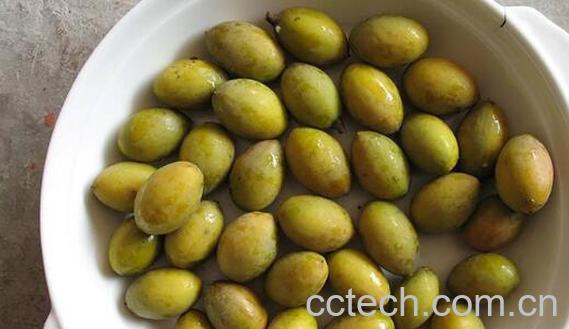 橄榄果咋吃 橄榄果的正确食用方法-1