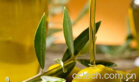 油橄榄果油的功效与作用-1