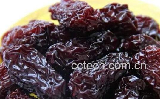 男性焦枣的功效与作用-0