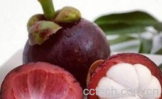 怎么判断山竹果肉坏了-1