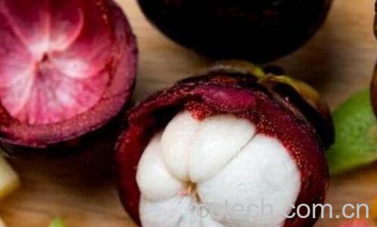 怎么判断山竹果肉坏了-0