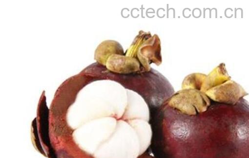 挑选山竹的小技巧-0