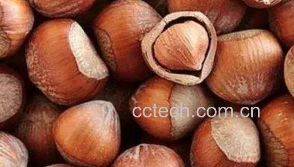 经常吃榛子的好处与坏处-1