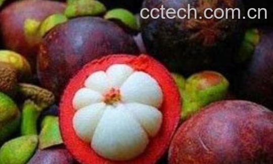 如何正确剥山竹 山竹太硬了怎么打开-0