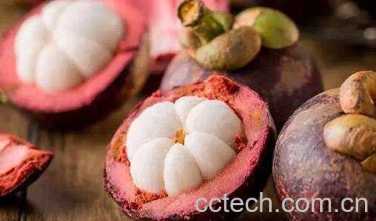 如何正确剥山竹 山竹太硬了怎么打开-1