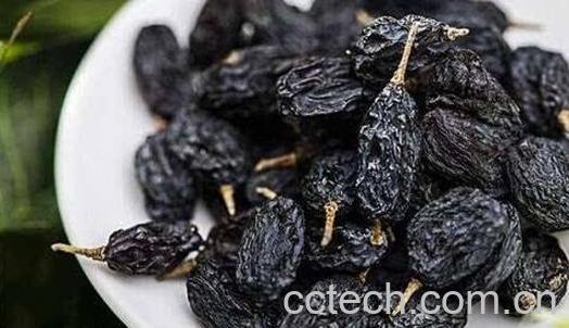 黑加仑干怎么吃最好-1