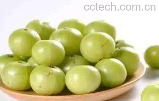 印度醋栗粉的作用和功效-1