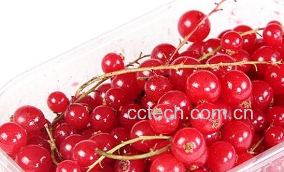 红醋栗的功效与作用-0