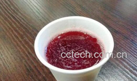 黑加仑汁粉的功效与作用及食用方法-0