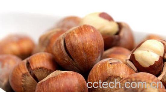 吃榛子的好处与坏处-0