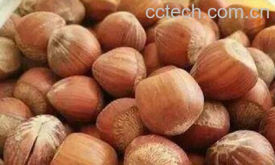 吃榛子的好处与坏处-1