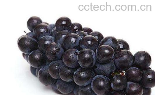 黑提的禁忌有哪些 黑提女人不能多吃-1