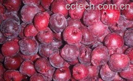 红加仑和黑加仑的区别 -0