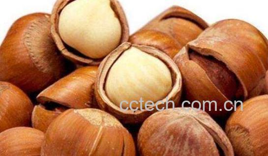 生榛子的功效与作用 新鲜榛子怎么吃-1