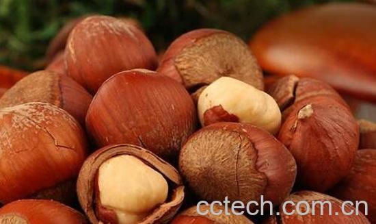 生榛子的功效与作用 新鲜榛子怎么吃-0