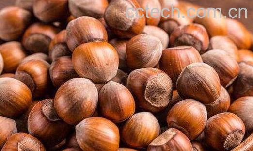 女人吃榛子有什么好处-1