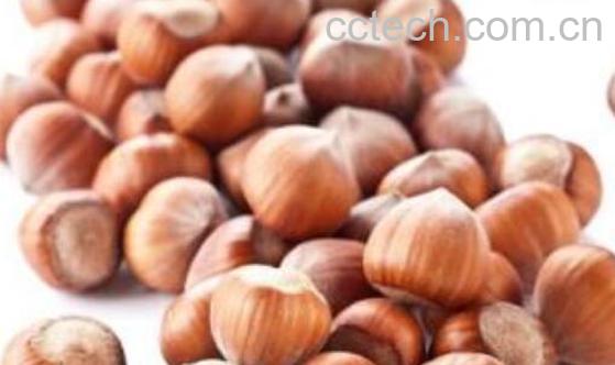榛子怎么吃 榛子的食用方法-1