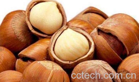 榛子的功效与作用 榛子的禁忌-0