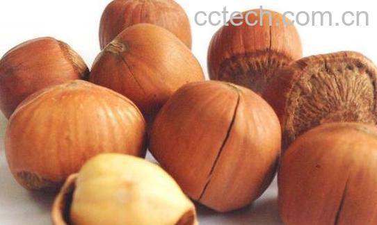 榛子的功效与作用 榛子的禁忌-1