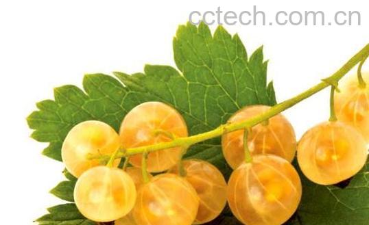 灯笼果的功效与作用 吃灯笼果的好处-1