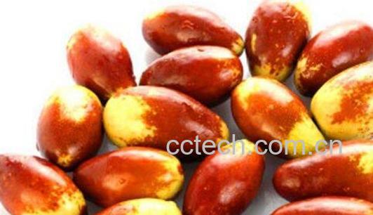 马牙枣的功效与作用及禁忌-0