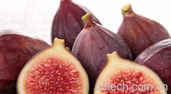 蛋白质含量高的水果-1