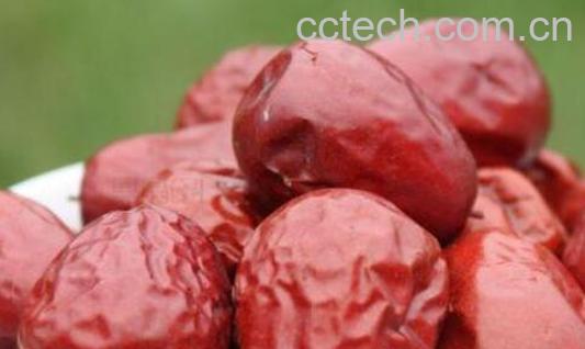 壶瓶枣和骏枣的区别-0