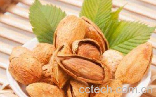 巴旦木和杏仁的区别 如何区分巴旦木和杏仁-1