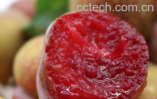 红心李子的功效与作用-0