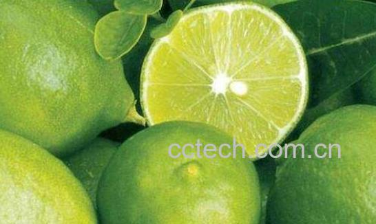 青柠檬怎么吃 青柠檬的食用方法-1