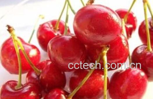 十大低糖水果排行榜 低糖水果有哪些-1