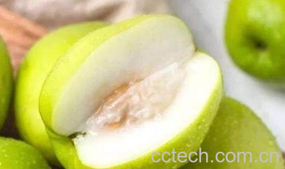 牛奶枣的功效与作用 牛奶枣的禁忌-1