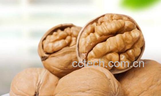 纸皮核桃和薄皮核桃有什么区别 薄皮核桃和纸皮核桃哪个好吃-1