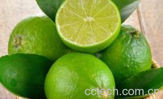 青柠檬和黄柠檬的区别 青柠檬和黄柠檬哪个好-0